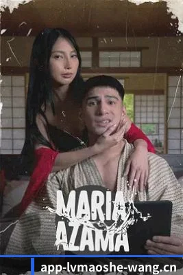 🎬 我们的内容方向